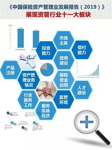 《中国保险资产管理业发展报告2019》 洞察资本管理新趋势，引领行业高质量发展
